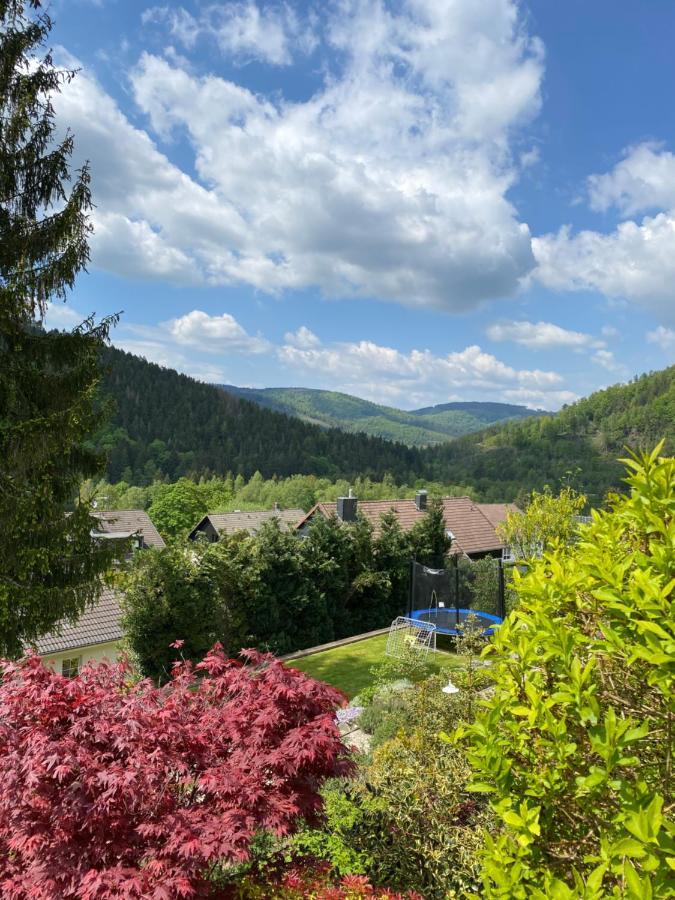 Villa Hills Hut Langelsheim Exterior foto